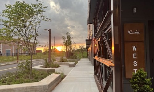 MAVIS WAY Cover Image