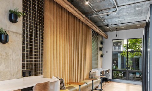 PNEUMATIC TUBES Cover Image