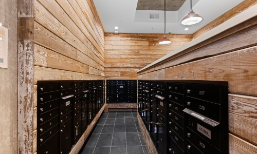 RECLAIMED WOOD DECKING Cover Image