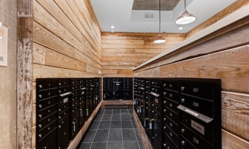 RECLAIMED WOOD DECKING Cover Image