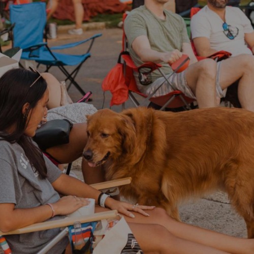 a dog and its owner at a city event